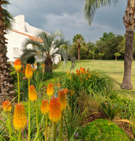 Villa Sardinia Guest House, accommodation and self catering, Midrand